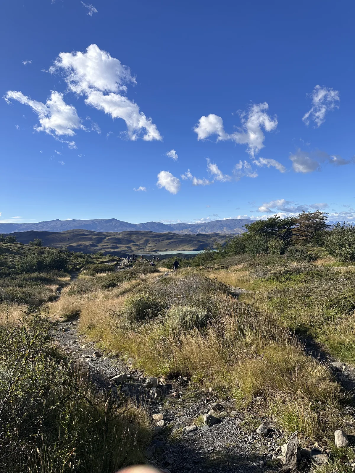 Sentiero di trekking a Torres del Paine con lago turchese e montagne sullo sfondo