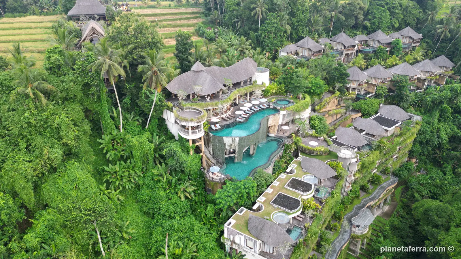 Le ville con piscina nella giungla e le risaie intorno a Ubud viste dal drone