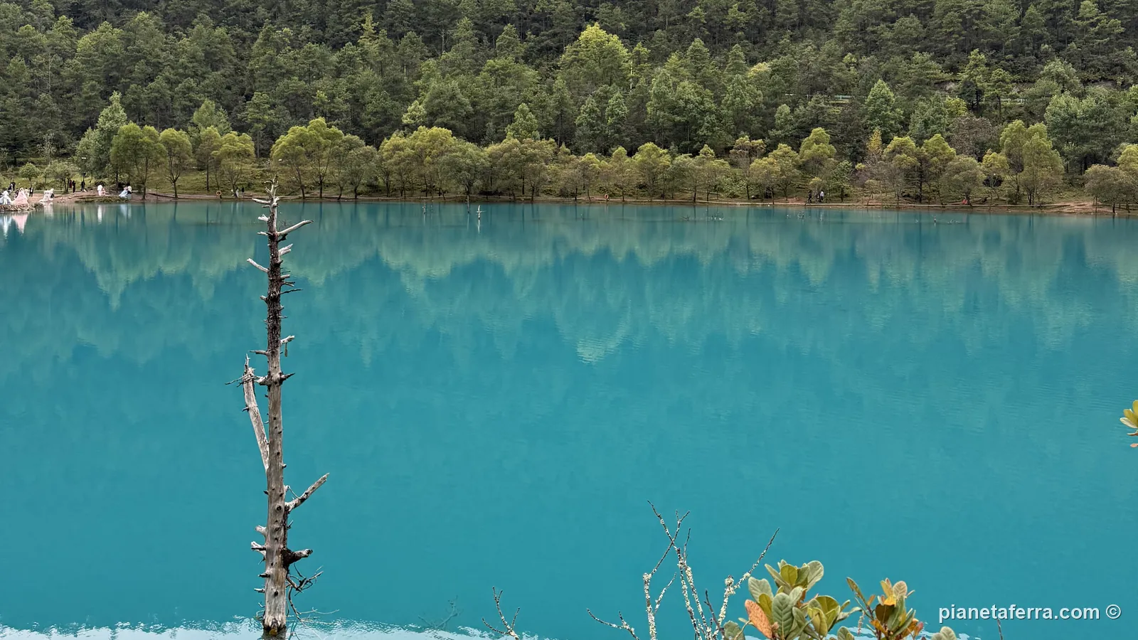 L'acqua turchese di uno dei laghi della Valle della Luna Blu, con il bosco alle spalle