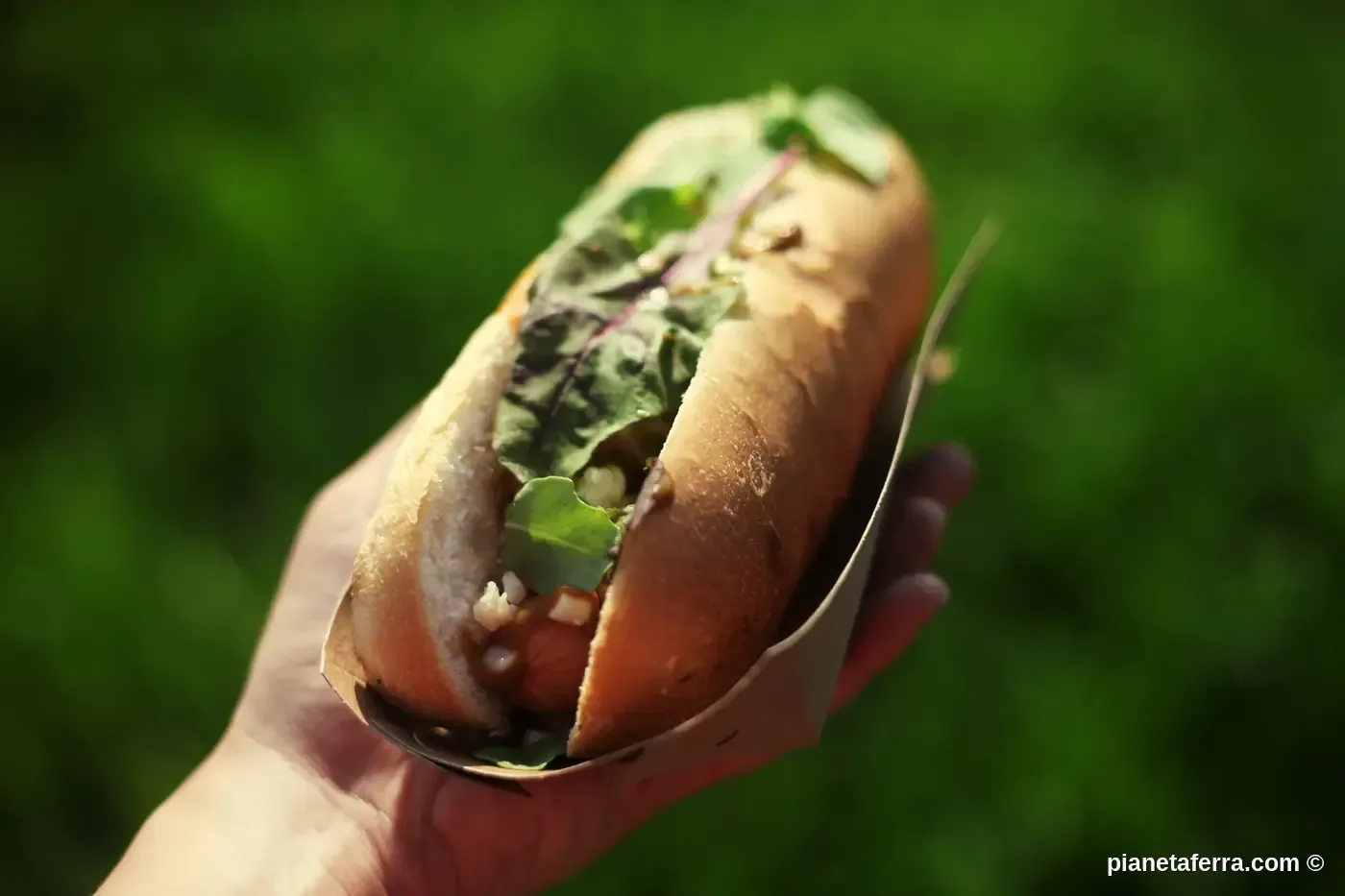 Bánh mì vietnamita street food autentico con erbe fresche