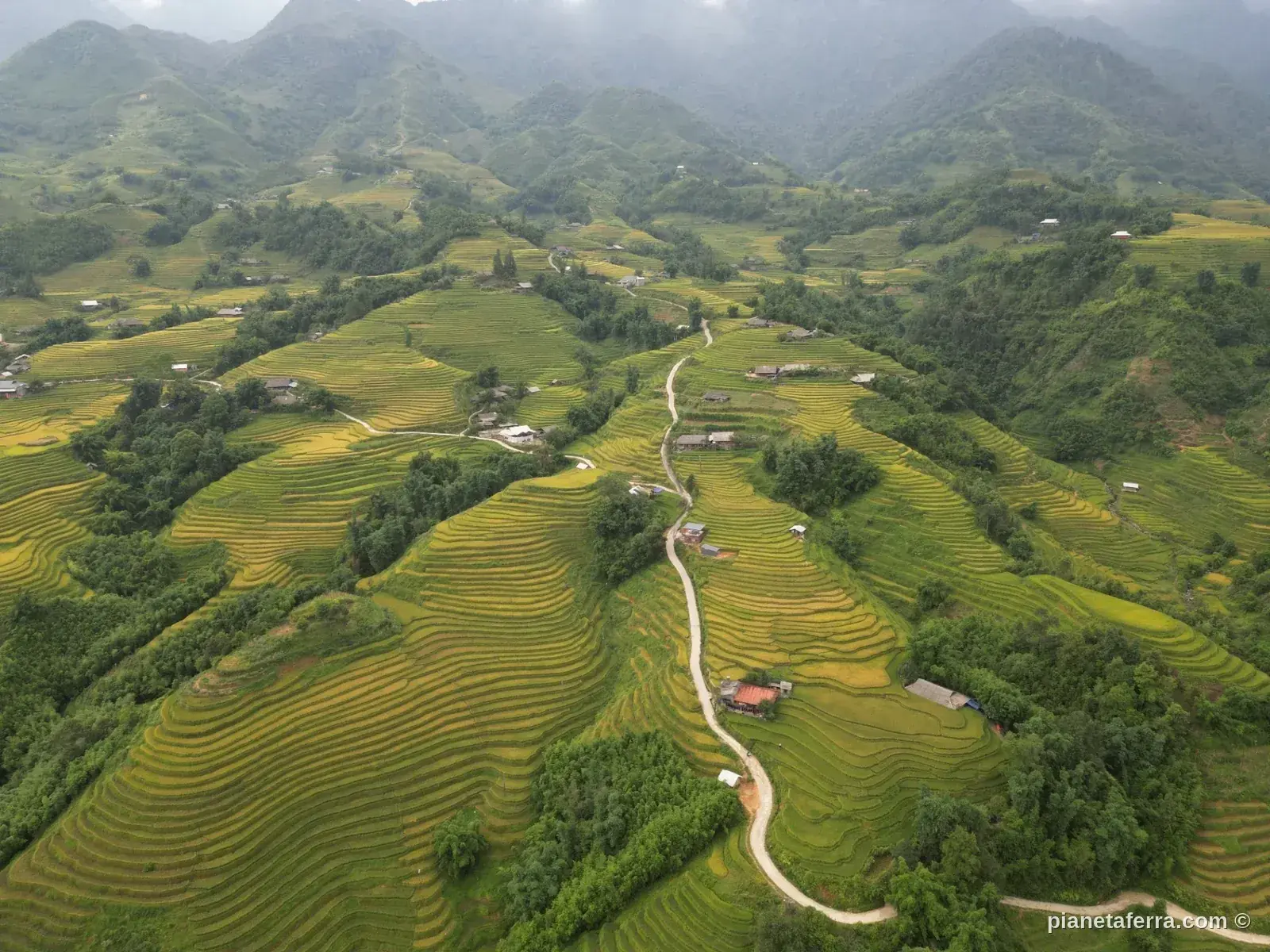 Quando andare in Vietnam: clima e periodo migliore