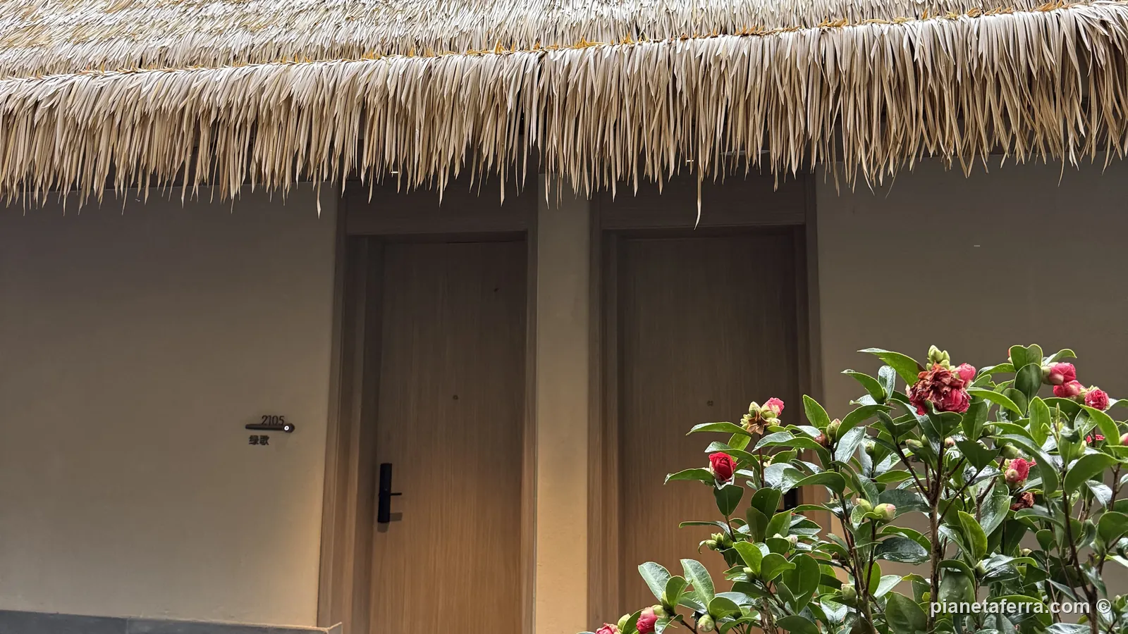 I bungalow con il tetto di paglia a Mengyuan Wonderland, in mezzo alla foresta