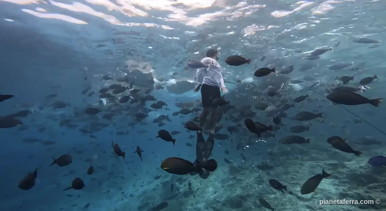 Quali sono le migliori escursioni da fare alle Maldive?
