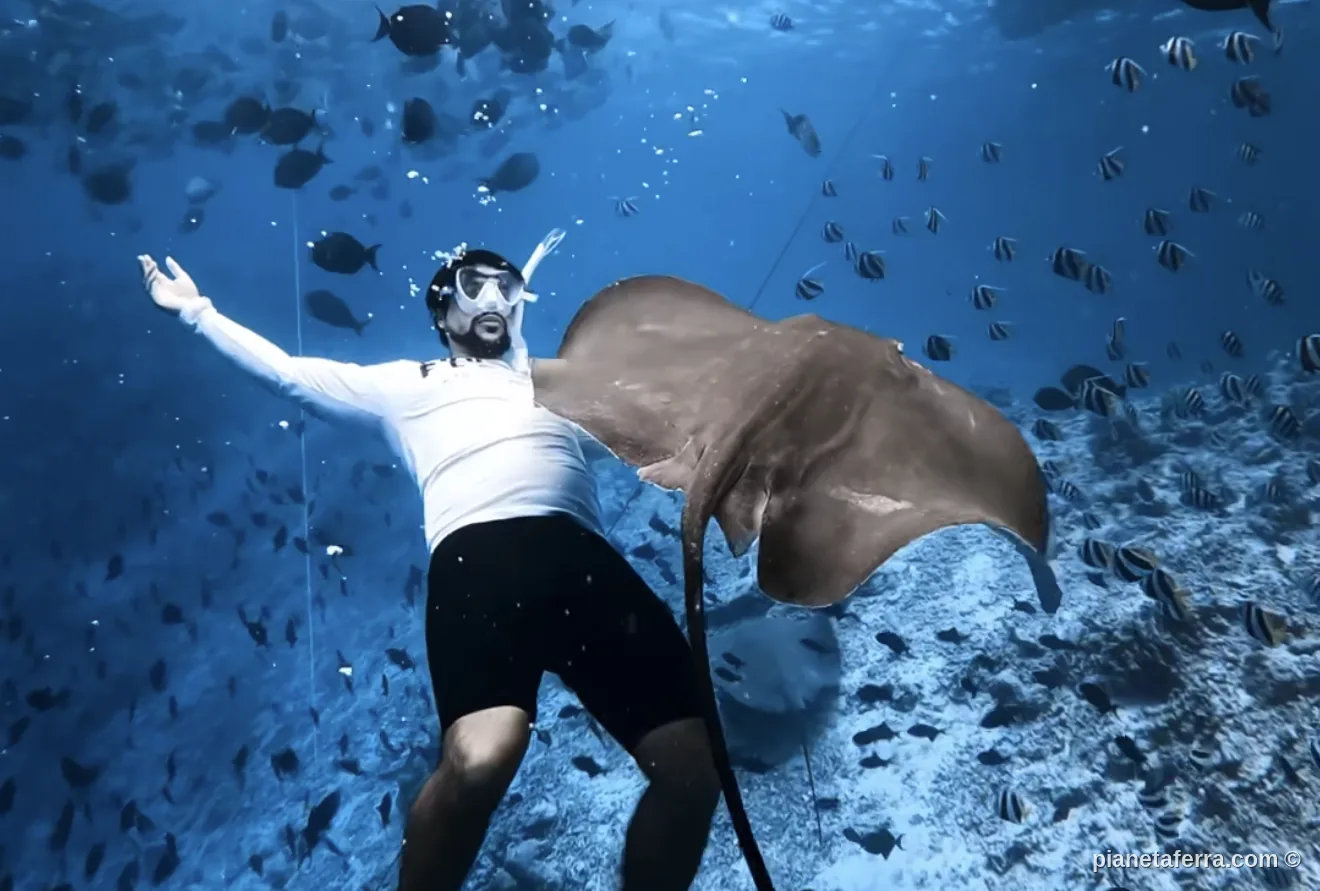 Razza durante lo snorkeling al Fish Tank delle Maldive
